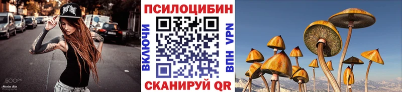 omg ССЫЛКА  где можно купить наркотик  площадка Telegram  Псилоцибиновые грибы GOLDEN TEACHER  Абинск 