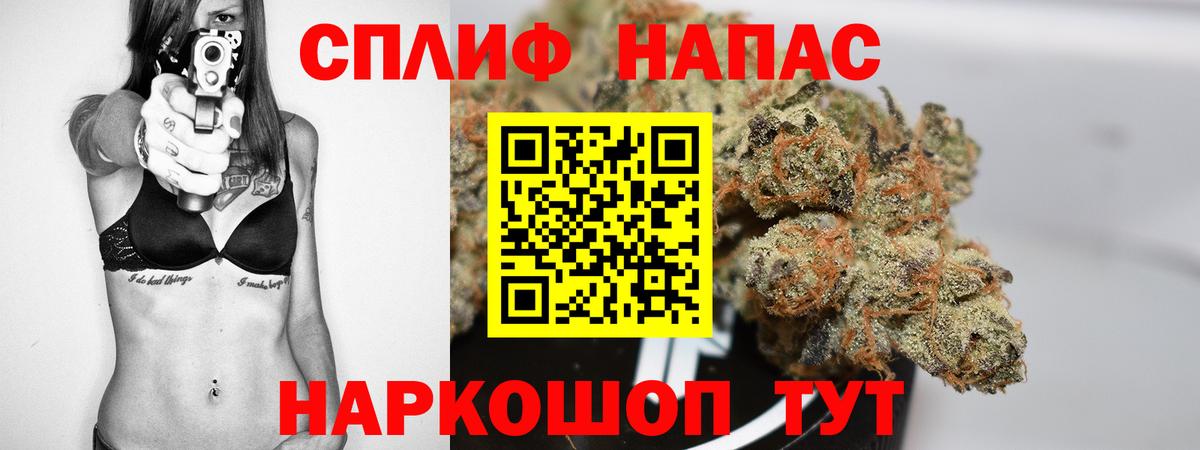 Каннабис план Абинск